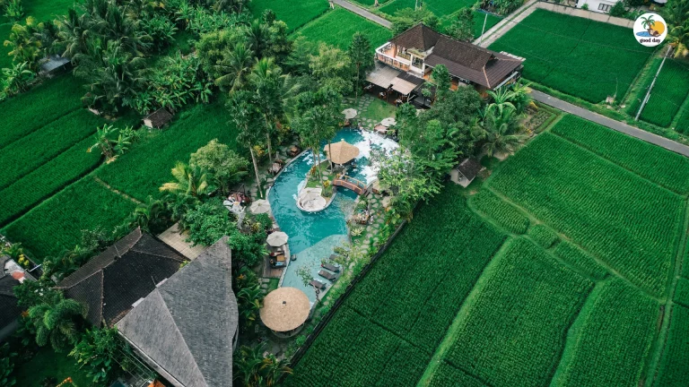 Instagram post from gooddayubud. This post is in position 40.